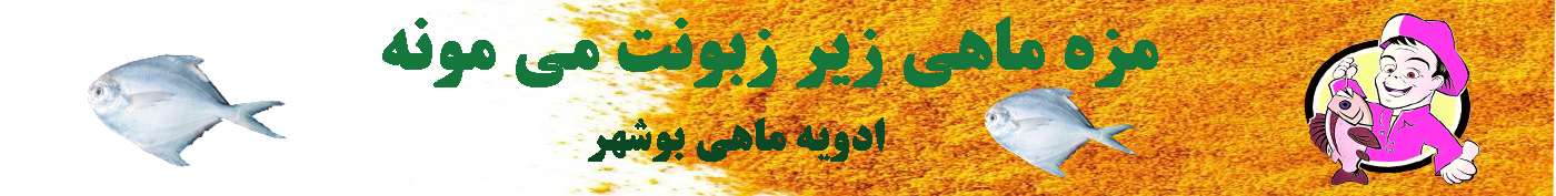 ادویه ماهی بوشهر 500گرم