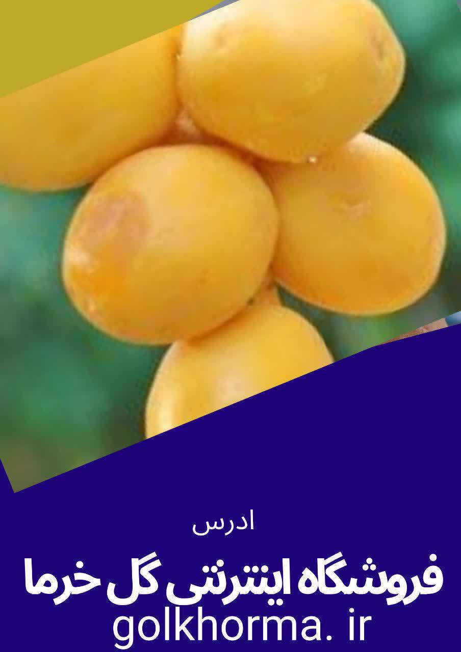 فروشگاه اینترنتی گل خرما