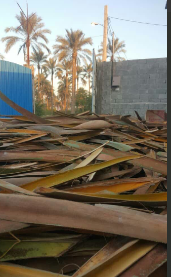 طاره وطارونه بوشهر