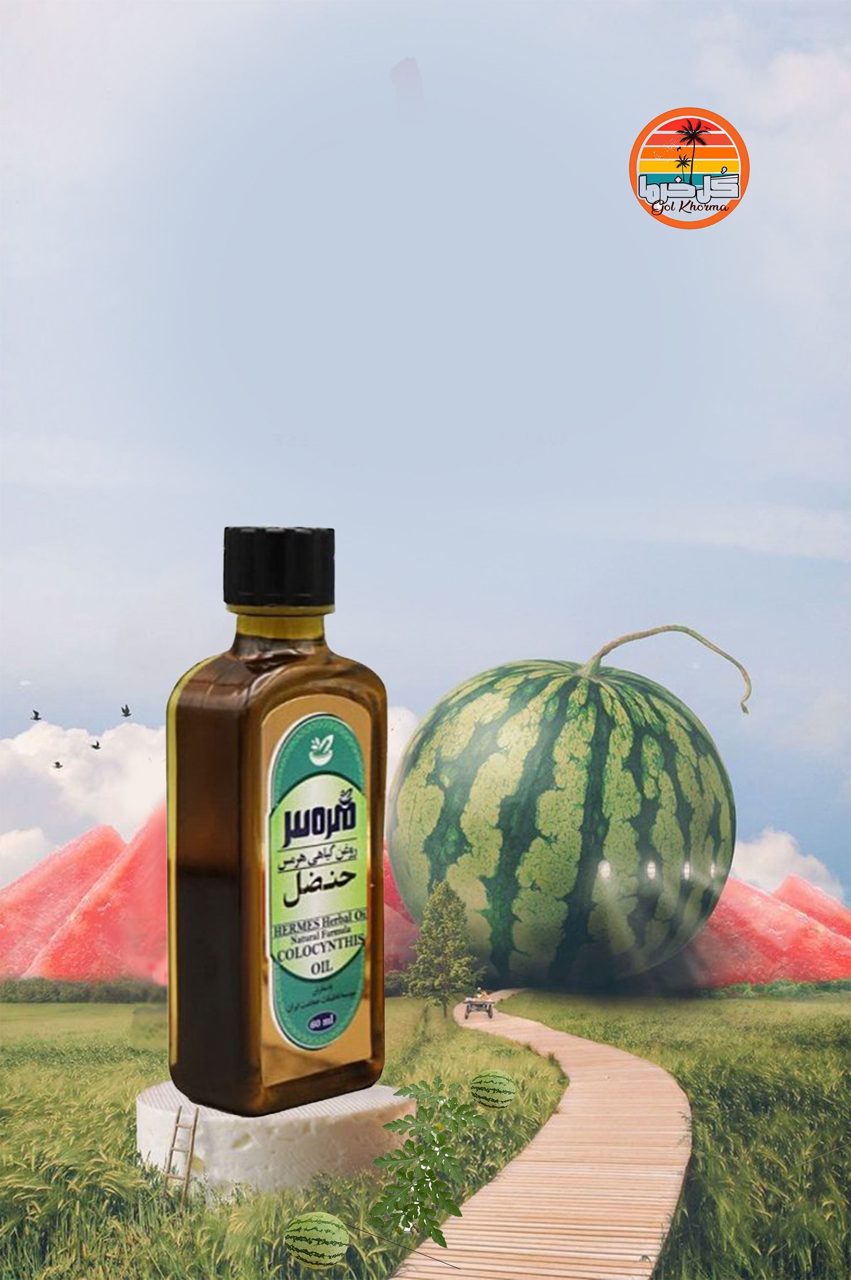 قدرت درمانی هندوانه گیاهی ابوجهل بوشهر(لگجی)